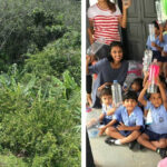 Good Market November 2018 Blog