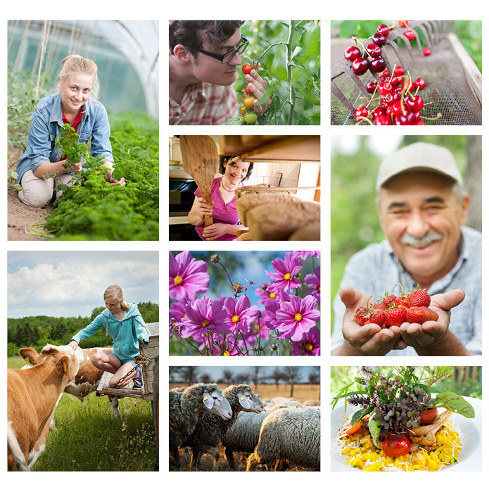 Hamish John Appleby Photography