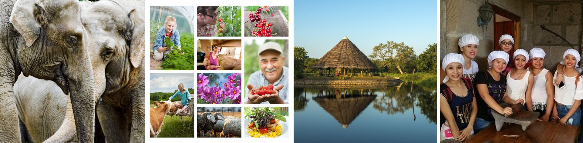 Good Market December 2018 Blog