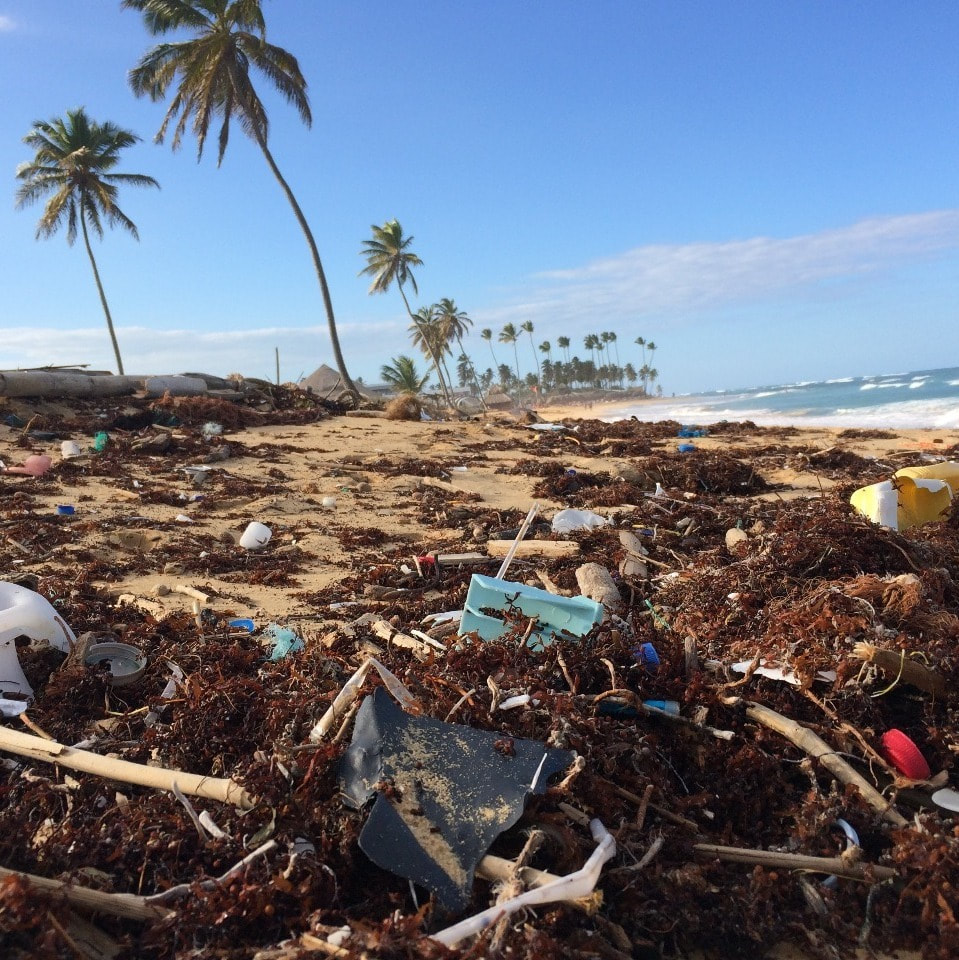 Waste Action LK (WALK)