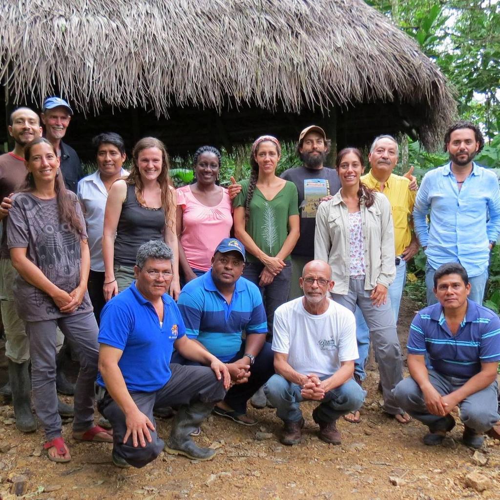 International Analog Forestry Network
