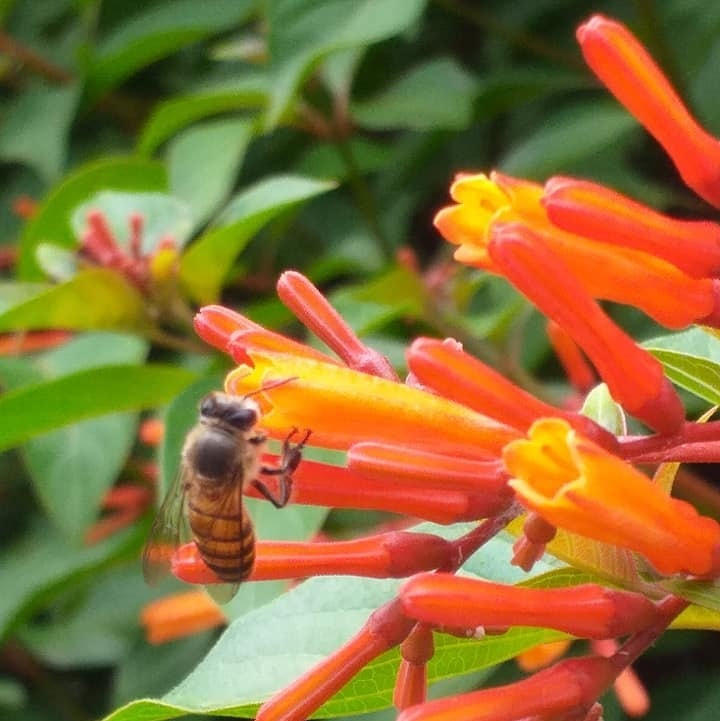 Sustainable Living Sri Lanka