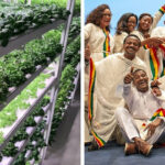 Good Market September 2019 Blog