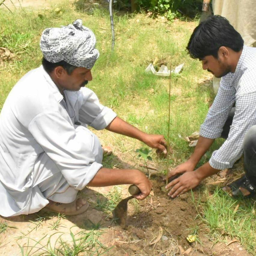Agri. Education Pakistan