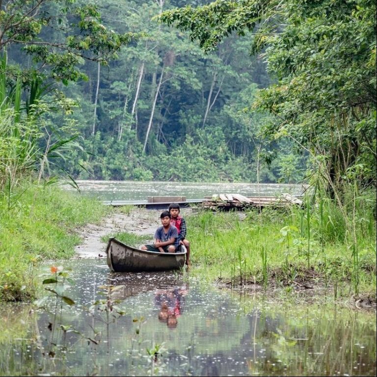 Canopy Bridge