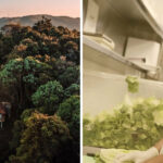 Good Market 2020 April