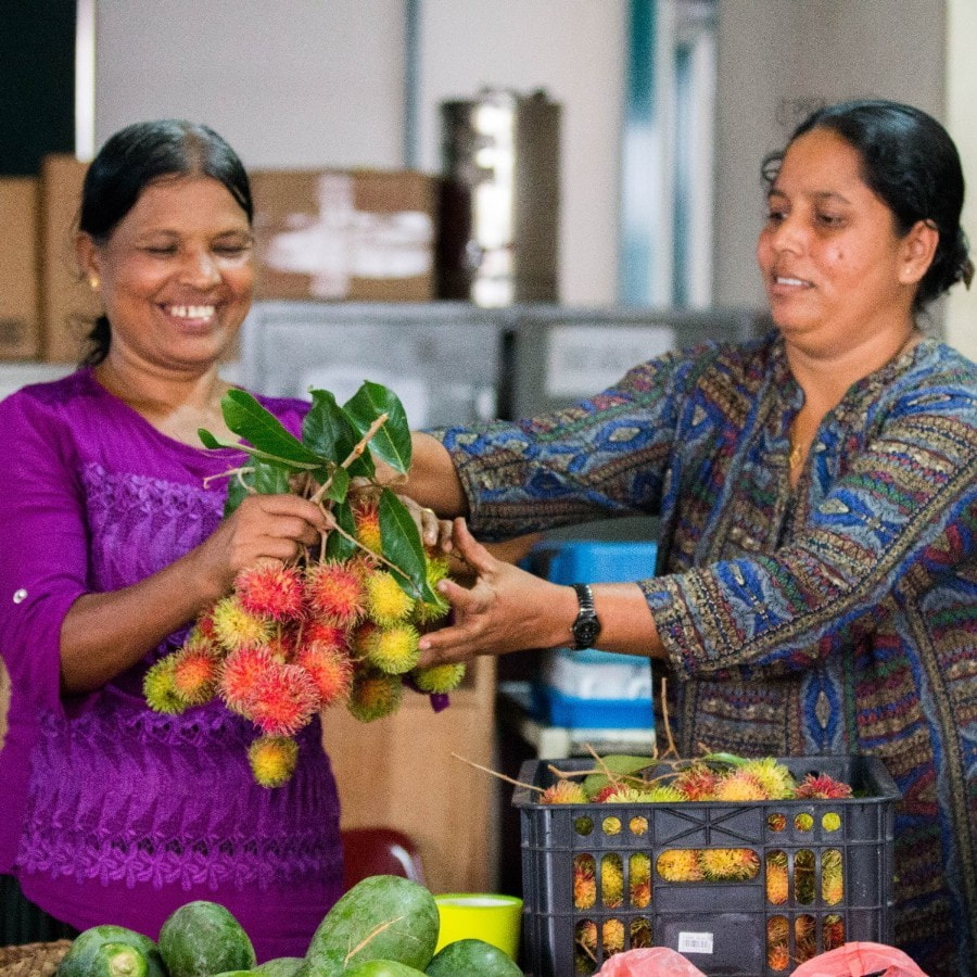 MJF Charitable Foundation