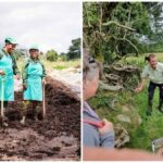 Good Market June 2020 Blog