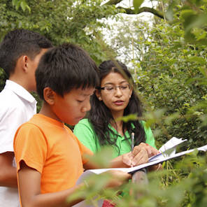 Wildlife Conservation Nepal