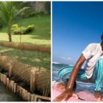 Good Market August 2020 Blog