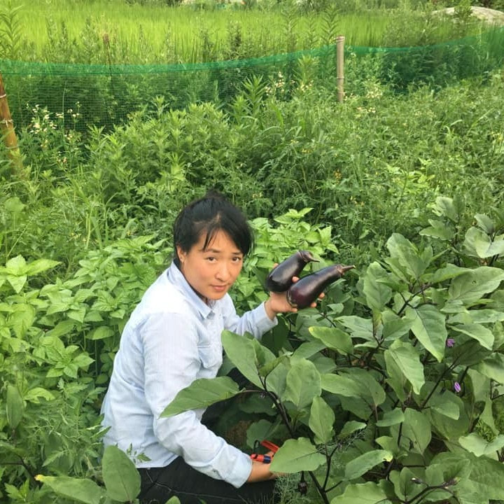 Kuroiwa Permaculture