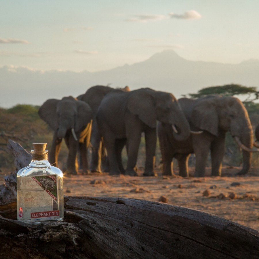 Elephant Gin