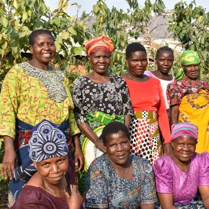 The Little Coffee Company