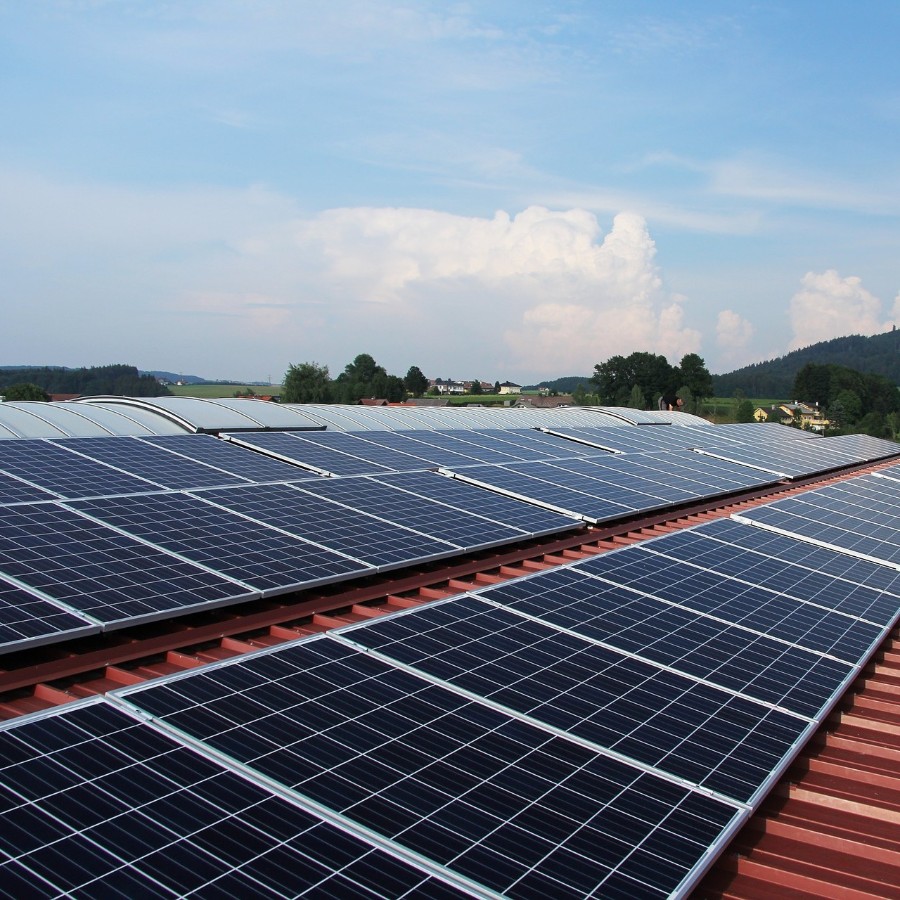 Syntrex Solar and Hydroponics