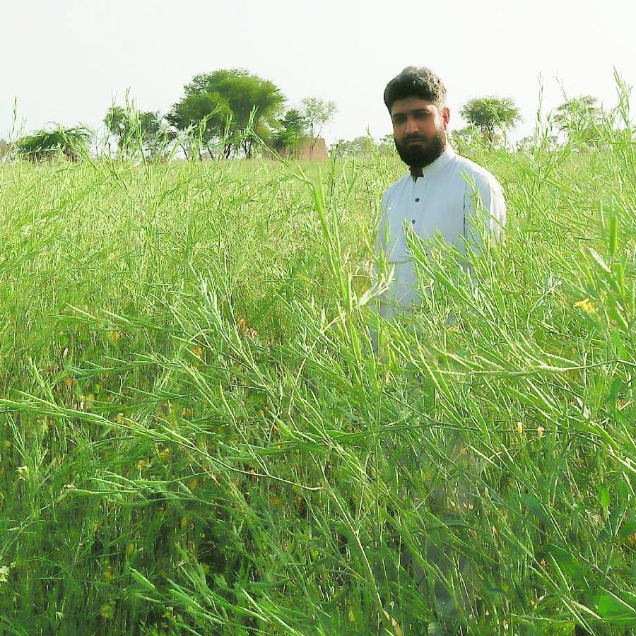 Oasis Agro Pakistan