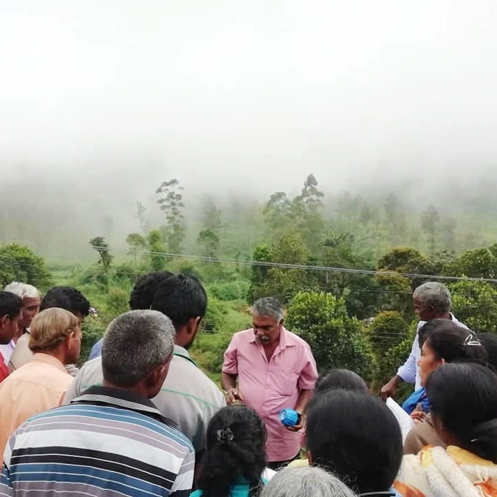 Green Community Walapane